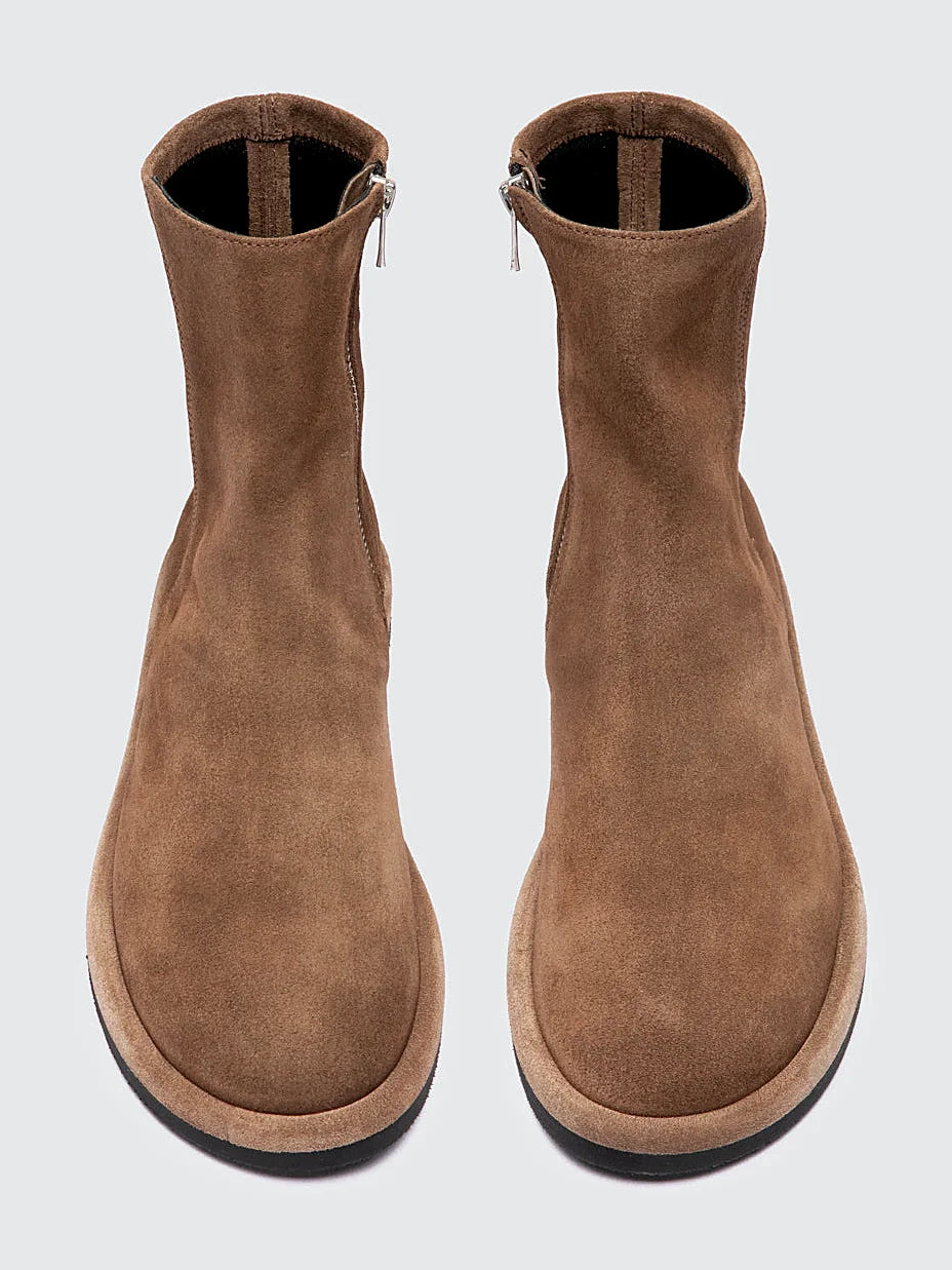 Brown light brown shown from the side on a plain background